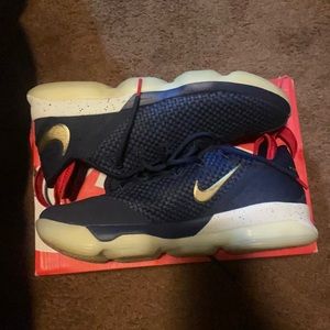 Lebron 14 lows “USA”